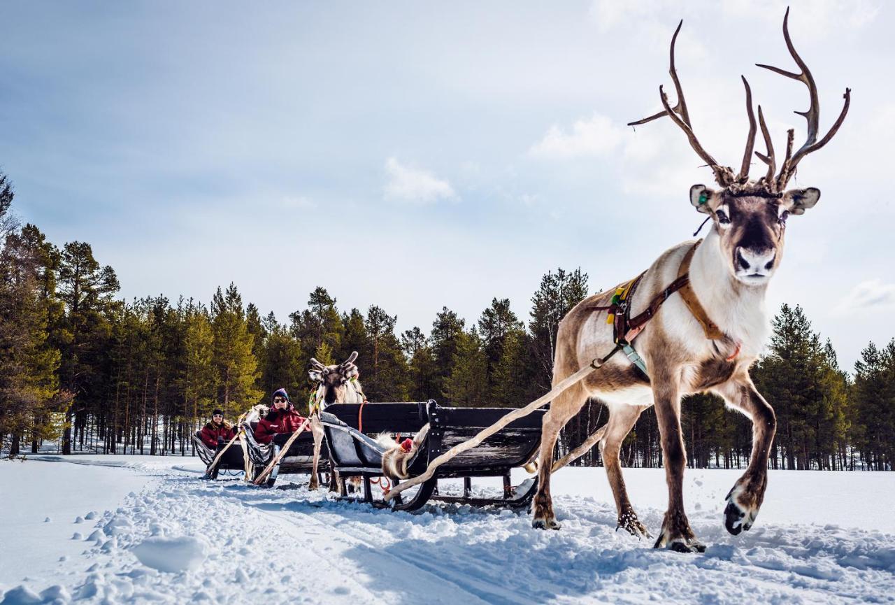Harriniva Adventure Resort 무오니오 외부 사진