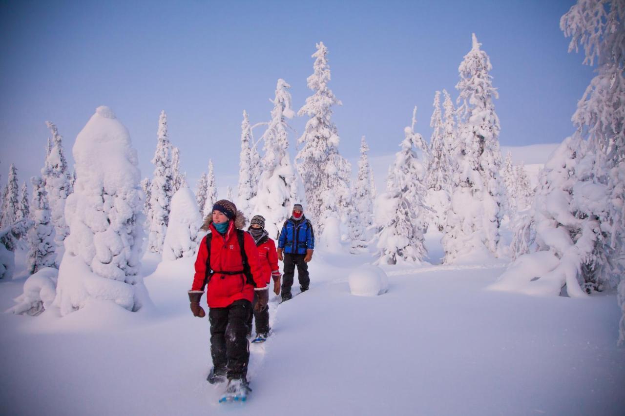 Harriniva Adventure Resort 무오니오 외부 사진